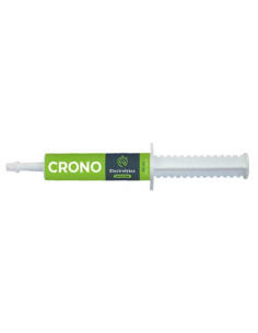 CRONO-Electrolytes-caballos