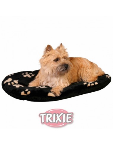 Cama económica para perro en color negro