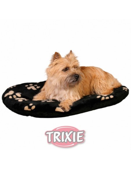 Cama económica para perro en color negro