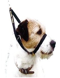 Collar para anti-tirones canny collar