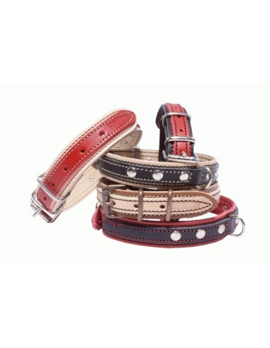 Collares para perros Piel Flor doble