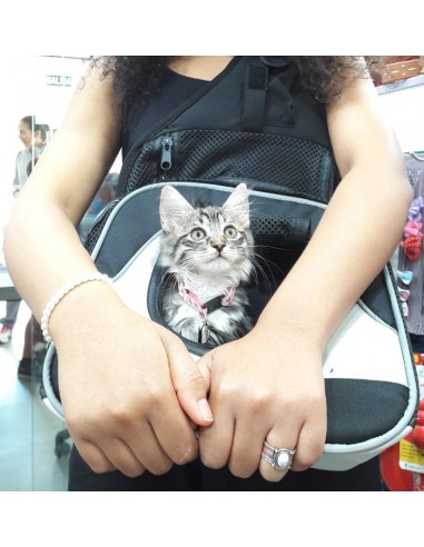 Mochila frontal para transporte de gatos modelo Savina