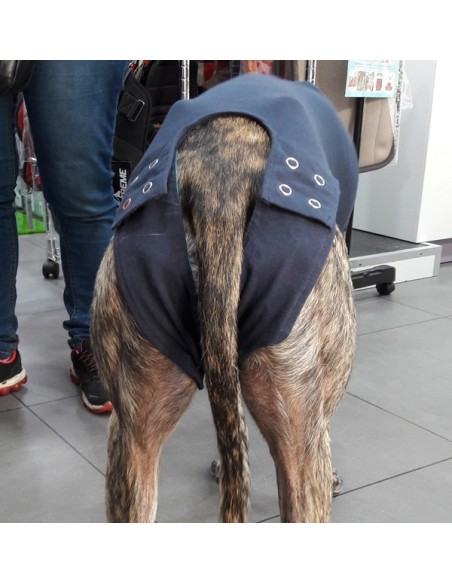 Camiseta protectora para perro