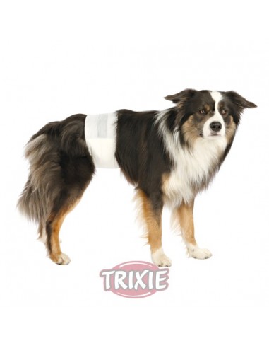 Pañales para perros, modelo machos