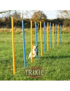 Eslalon de agility para perros