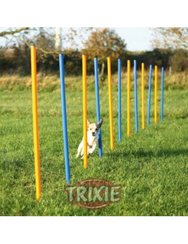 Eslalon de agility para perros
