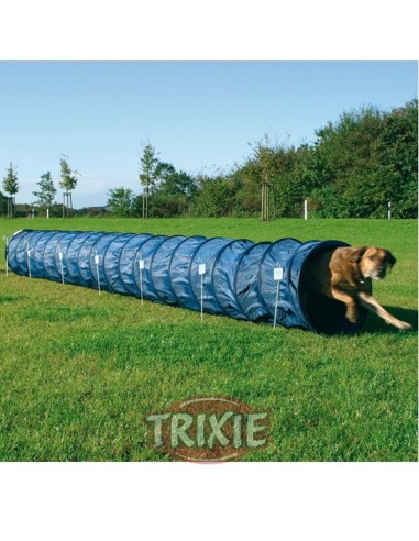 Túnel de agility para perros