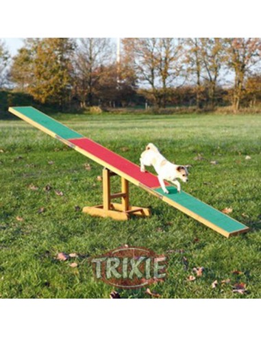 Balancín de agility para perros