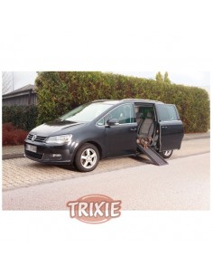 Rampa de acceso a coche de plástico pequeña