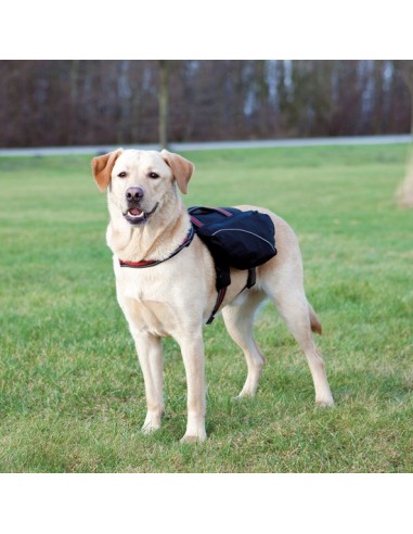 Mochila de nylon ligera para llevar el perro