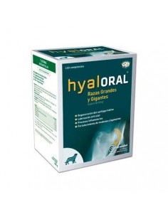 HYALORAL, Ácido Hialuronico para la artritis de los perros