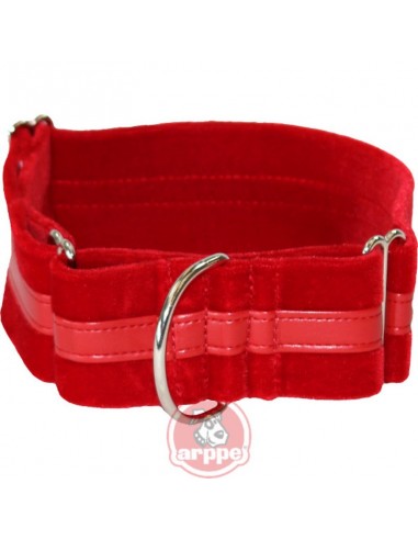 Collar para galgo en terciopelo martingale regulable