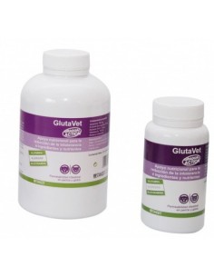 GLUTAVET complemento nutricional para afecciones intestinales en perros y gatos