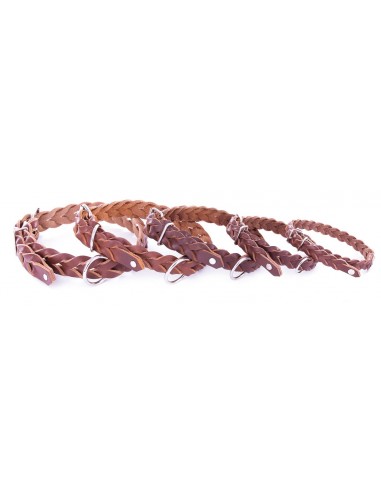 Collares para perros Piel Flor trenzado marrón