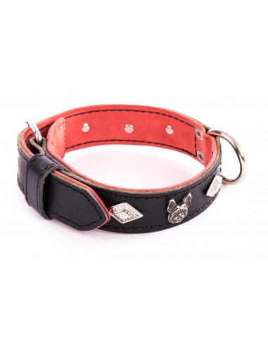 Collares para Bulldog Francés