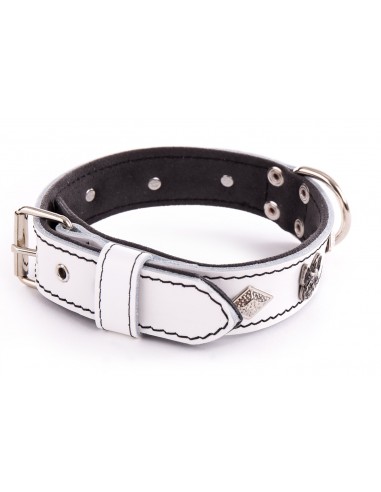 Collares para Bulldog Francés