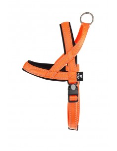 Arnes acolchado para perros