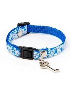 Collar para gatos decorado regulable