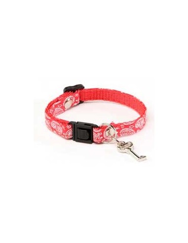 Collar para gatos decorado regulable