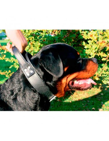 Collares para perros de intervención Piel Flor Martín Sellier