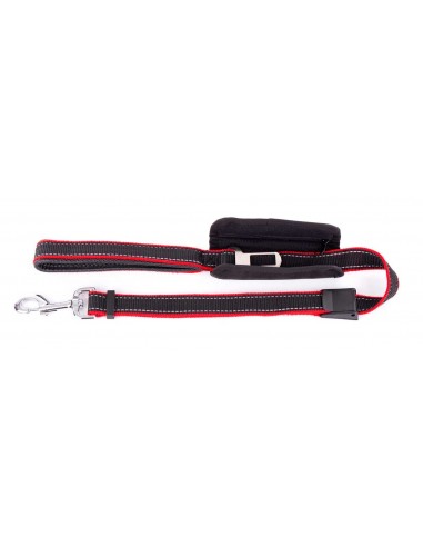 Correas para perros para paseo con enganche seguridad auto