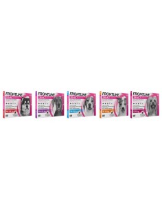 Antiparasitarios para perros - Pipeta FRONTLINE TRI ACT