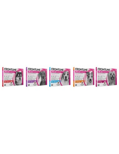 Antiparasitarios para perros - Pipeta FRONTLINE TRI ACT