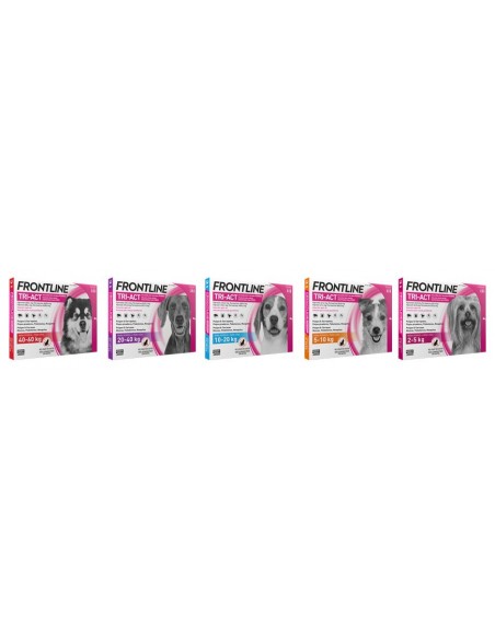 Antiparasitarios para perros - Pipeta FRONTLINE TRI ACT