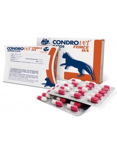 CONDROVET FORCE HA gatos condroprotector para gatos