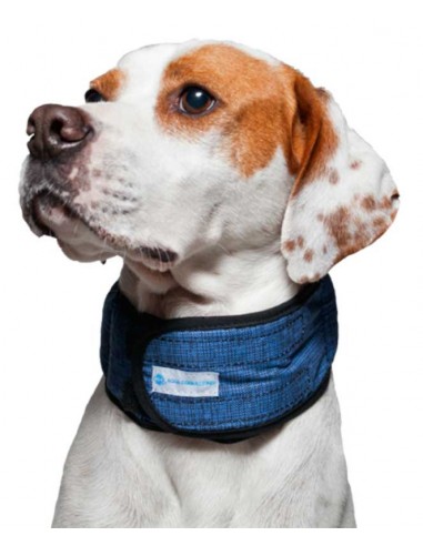 Collar refrescante para perros