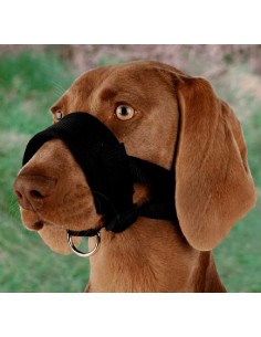 Bozal de lazo para perros