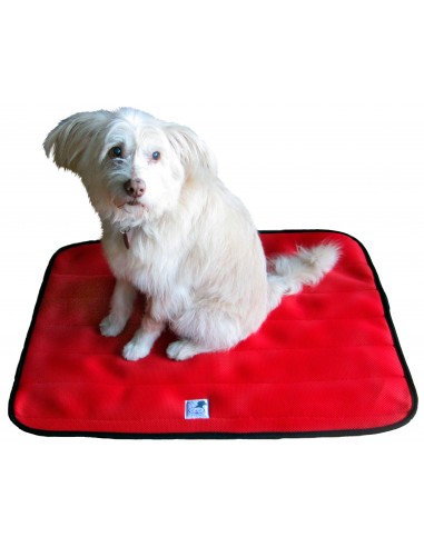 Cama terapéutica para perros Lucas y Lola