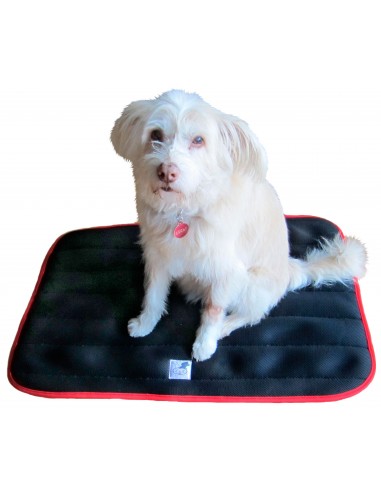 Cama terapéutica para perros Lucas y Lola