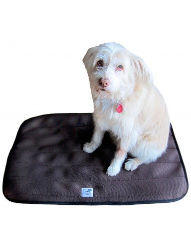 Cama terapéutica para perros Lucas y Lola
