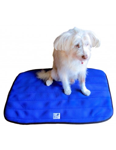 Cama terapéutica para perros Lucas y Lola