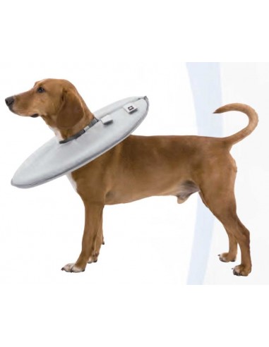 Collar protector para perro