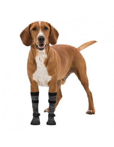 Bota protectora para perro