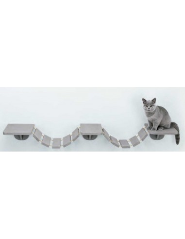 Escalera de escalada para gato