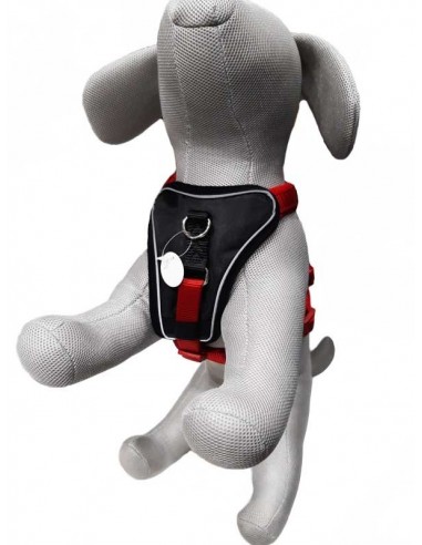 Arnes para perro Y Premium