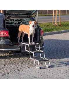 Escalera plegable de acceso a coche