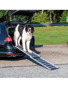 Rampa telescópica de acceso a coche