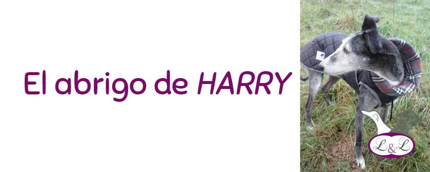 El abrigo de Harry