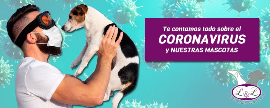 El Corona Virus y las mascotas