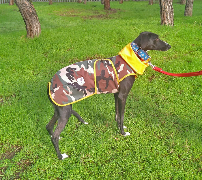 abrigo-camuflaje-galgo
