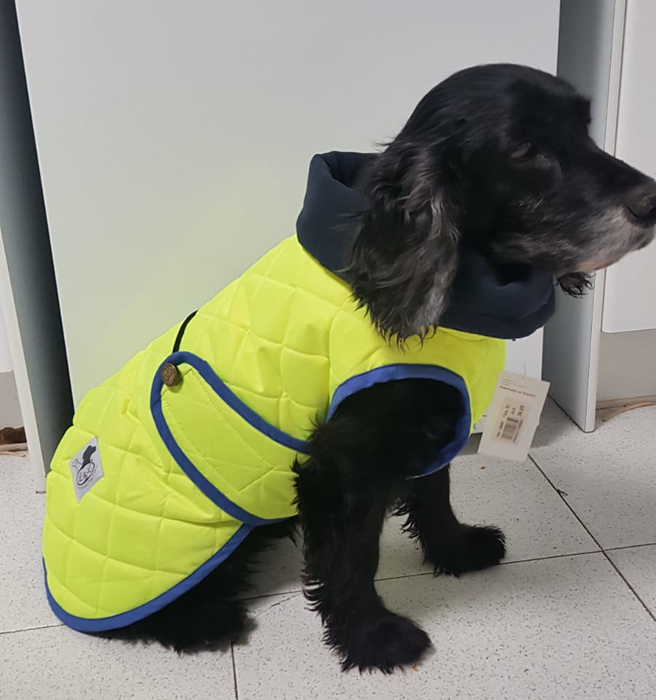 abrigo-perro-alta-visibilidad