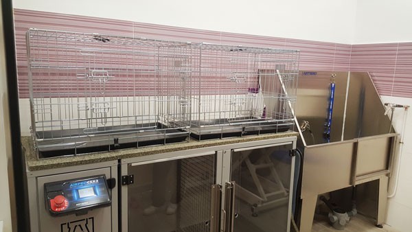 Lucas & Lola servicio de peluquería para perros