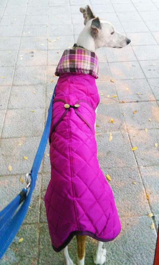abrigo-impermeable-acolchado-galgo-color-fucsia
