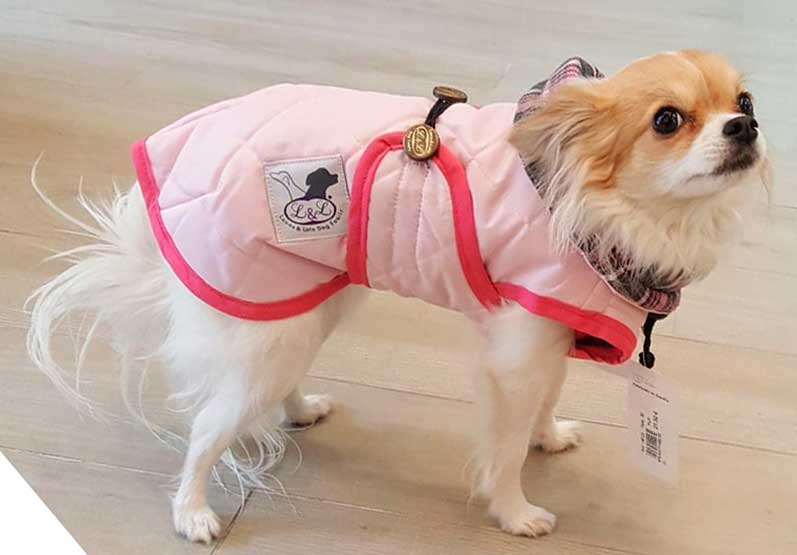 abrigo para perro mini