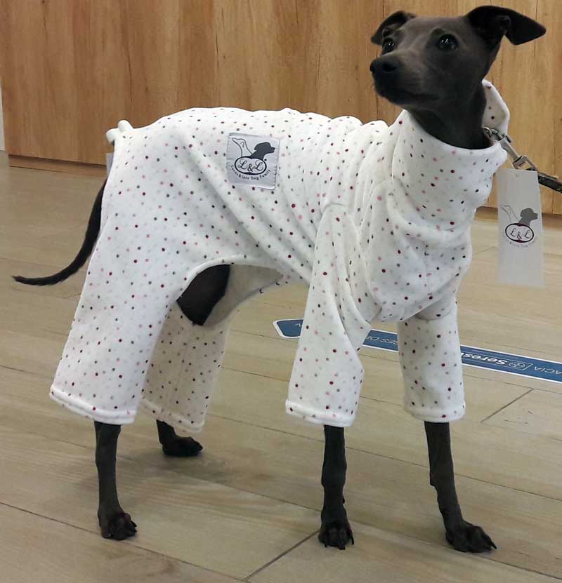 pijama galgo piccolo