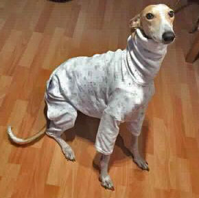 pijama para perro